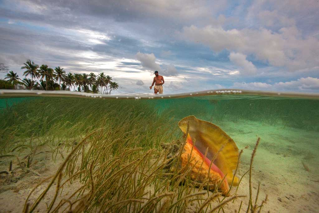 Cristina  Mittermeier  Interview on Lens Magazine