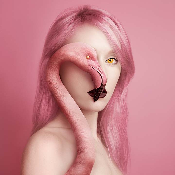 Flamingo. 2016.
Flora Borsi © All rights reserved. 