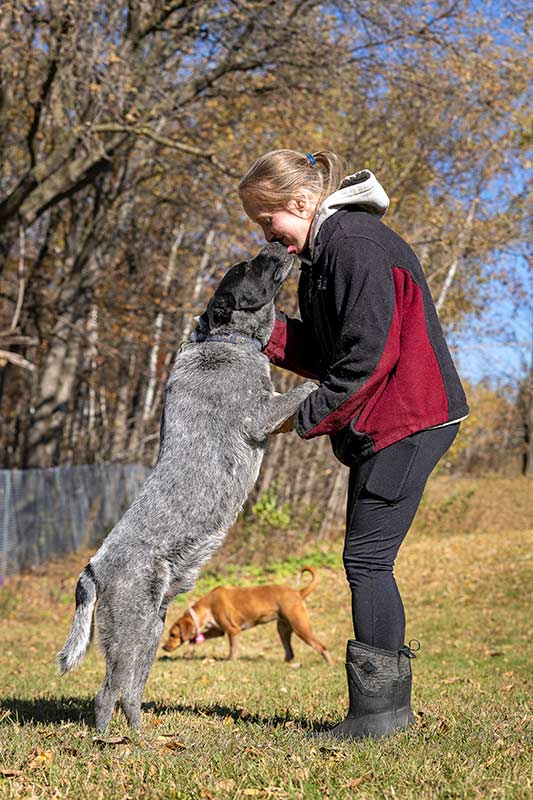  Blue, with staff worker Barbara, was shipped to the Animal Humane Society in Minneapolis from Texas but was found to be unadoptable, so he was brought to HFL.