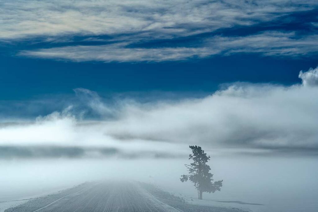 It was a frigid morning with 
a blustery wind on the Yellowstone roads. © All rights reserved. 