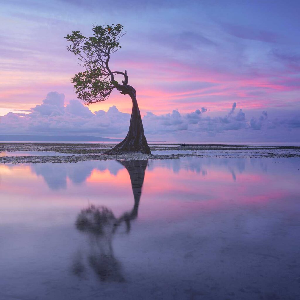  Indonesia, Sumba island. Daniel Kordan © All rights reserved. 