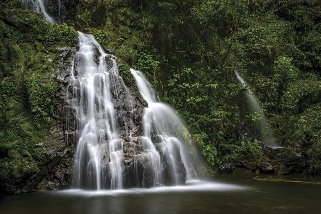 
Waterfall on Iriomotejima.
Mark Edward Harris © All rights reserved.