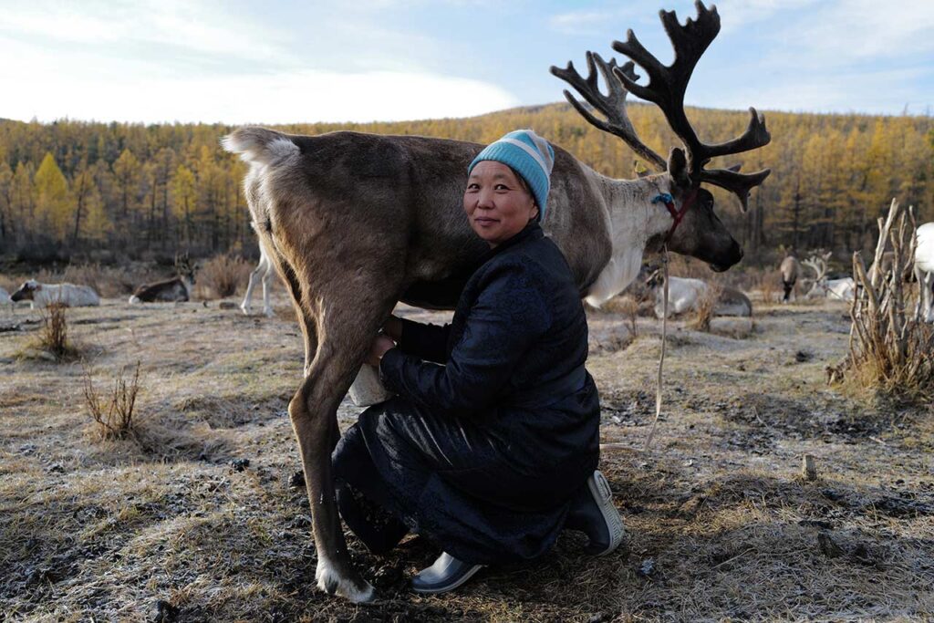 Mongolia Nomadic Life
Roshi Aba ©All rights reserved.