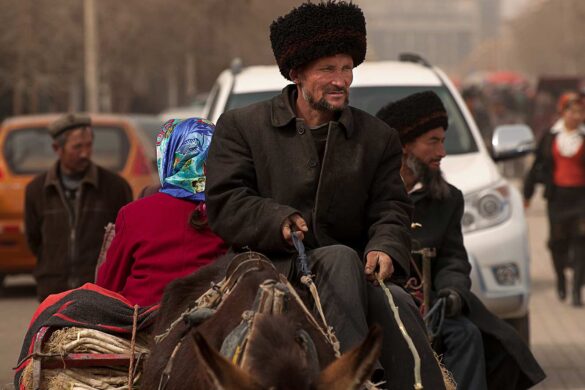 MICK STETSON. THE UYGHURS: BEIJNG'S RESTIVE NEIGHBOR