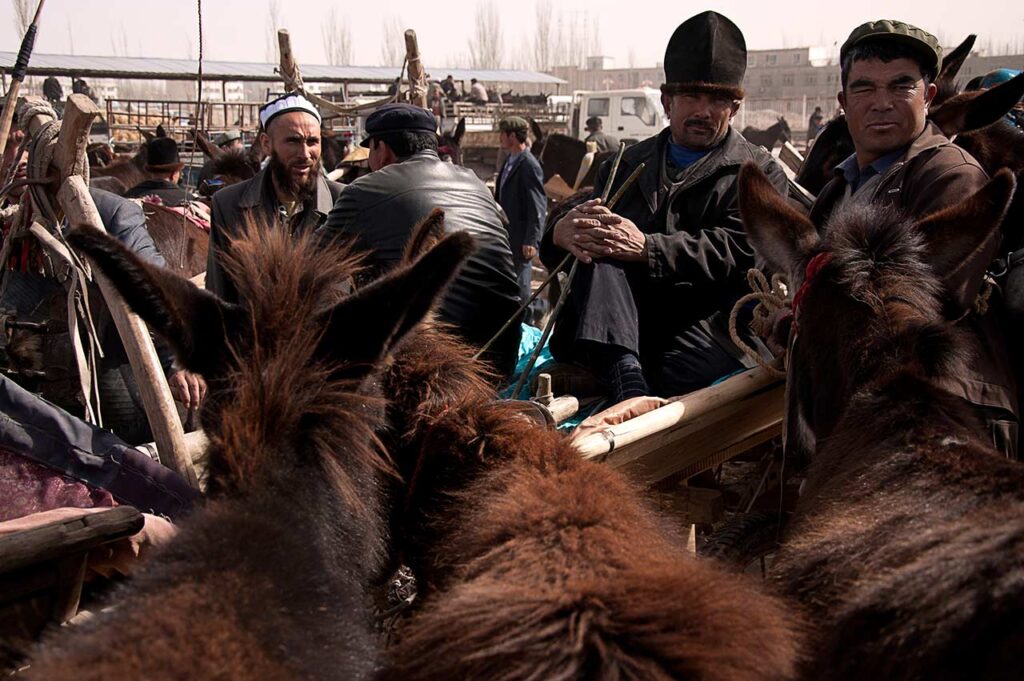 Livestock Market
Buying, selling, or only admiring the livestock area is one of the busiest attractions of the Sunday market and the reason Uyghurs travel many hours and kilometers to visit it.