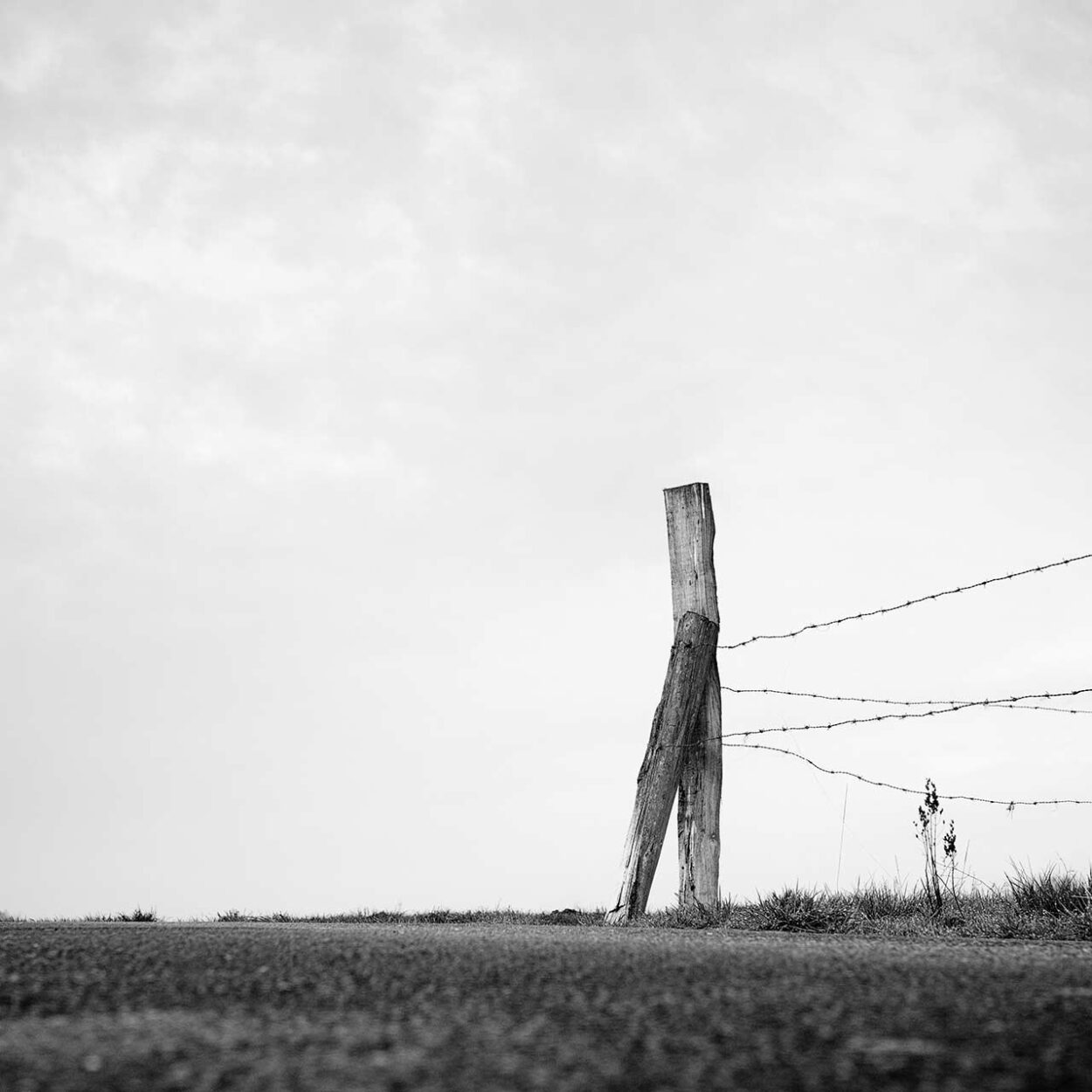 Barbed Wire Fence I, Siegen, Germany, 2026. Ralf Dreier © All rights reserved