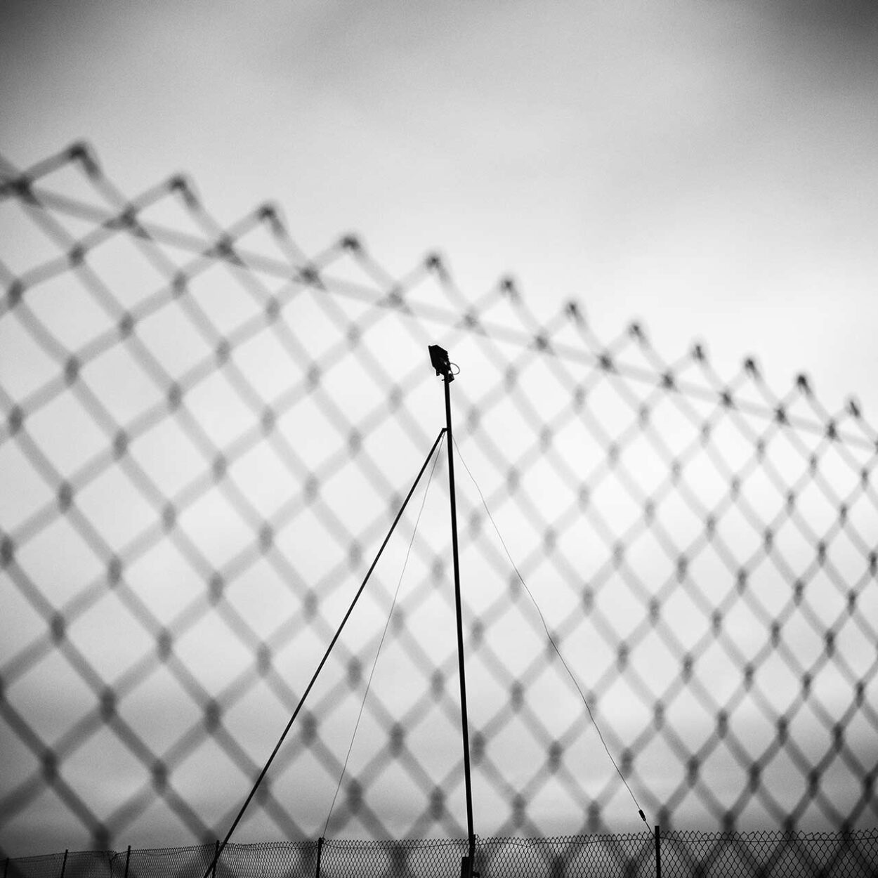 Dog Training Area, Siegen, Germany, 2022. Ralf Dreier © All rights reserved