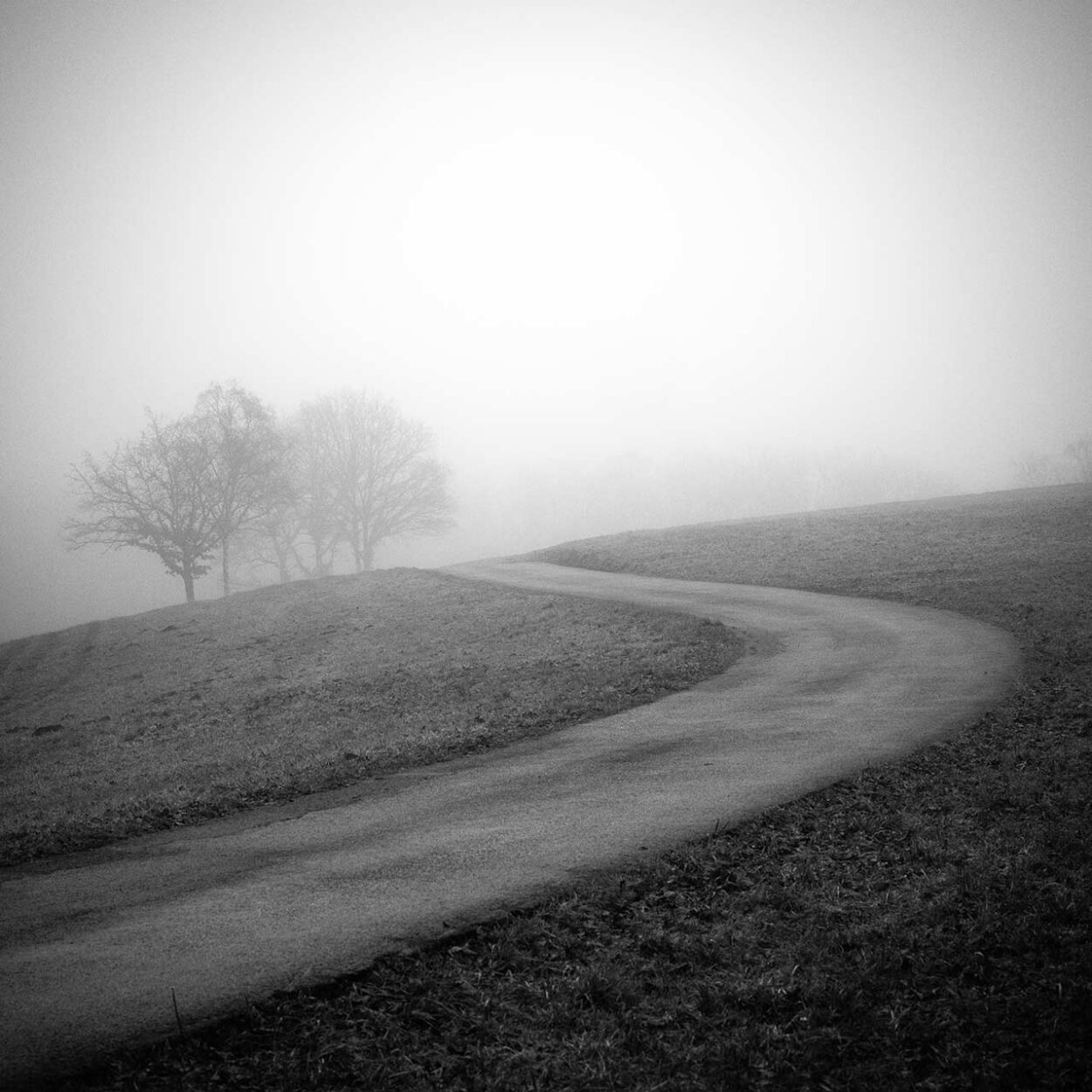 Path to Nowhere, Siegen, Germany, 2021. Ralf Dreier © All rights reserved