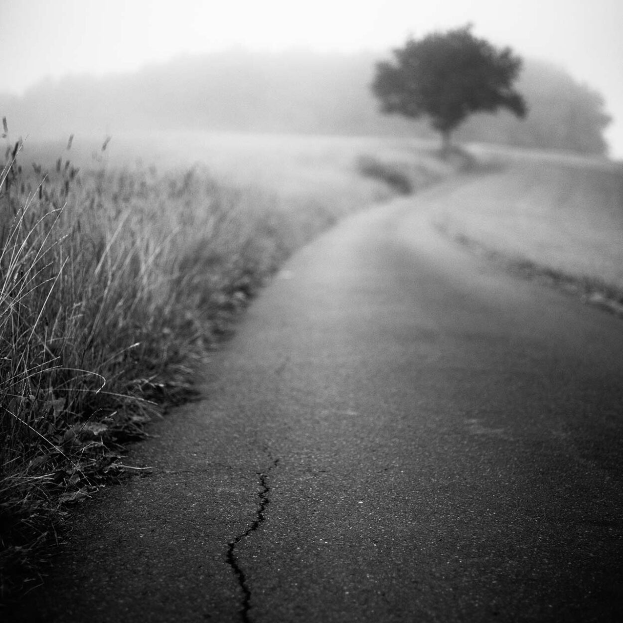 The Crack, Siegen, Germany, 2021
Ralf Dreier © All rights reserved