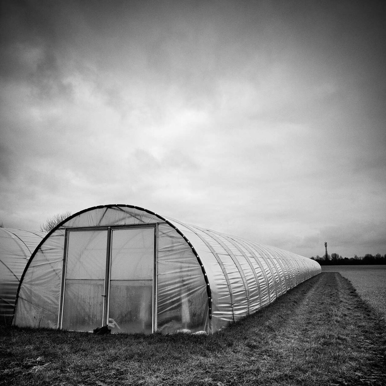 Foil Greenhouse, Cologne, Germany, 2023
Ralf Dreier © All rights reserved