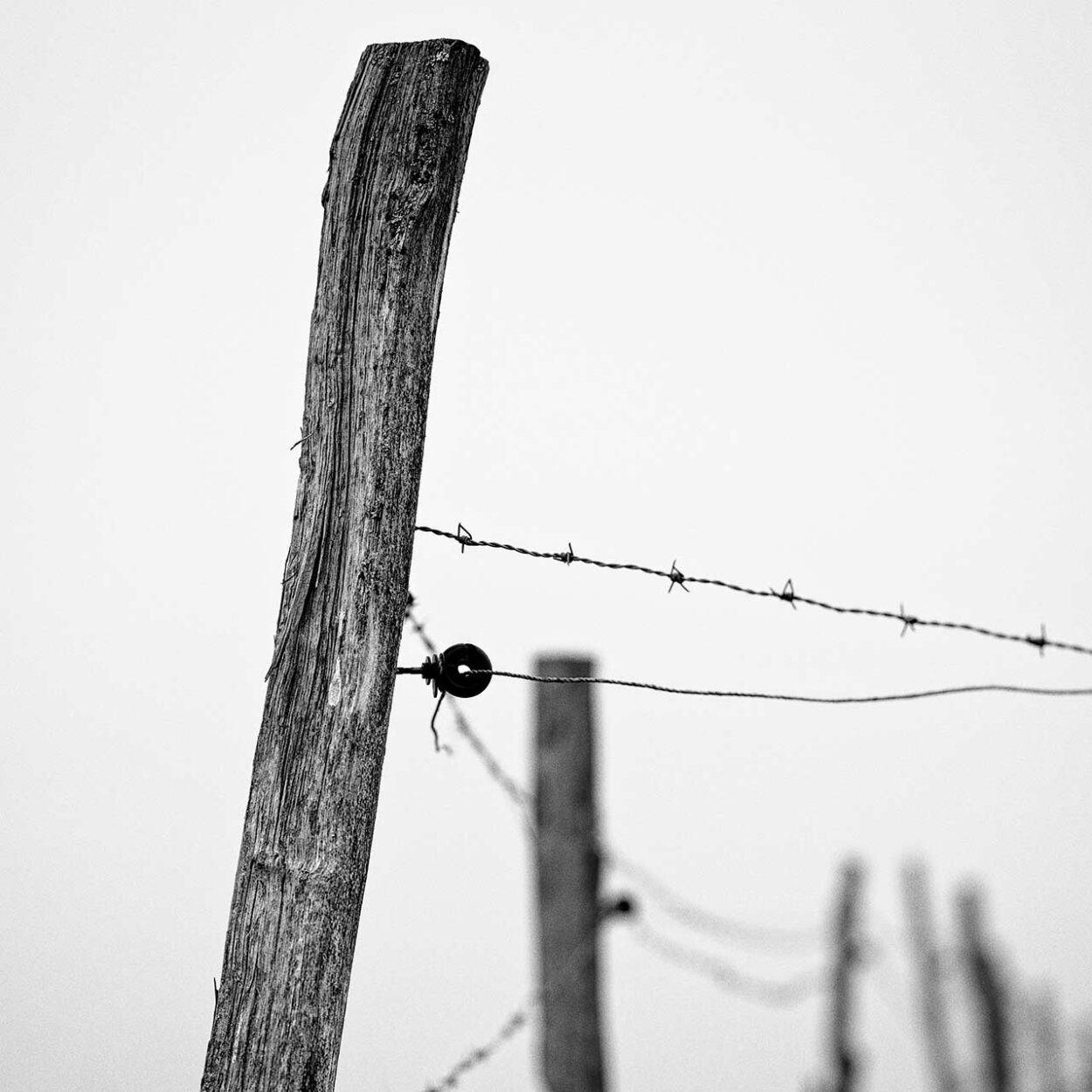 The Fence, Siegen, Germany, 2021
Ralf Dreier © All rights reserved