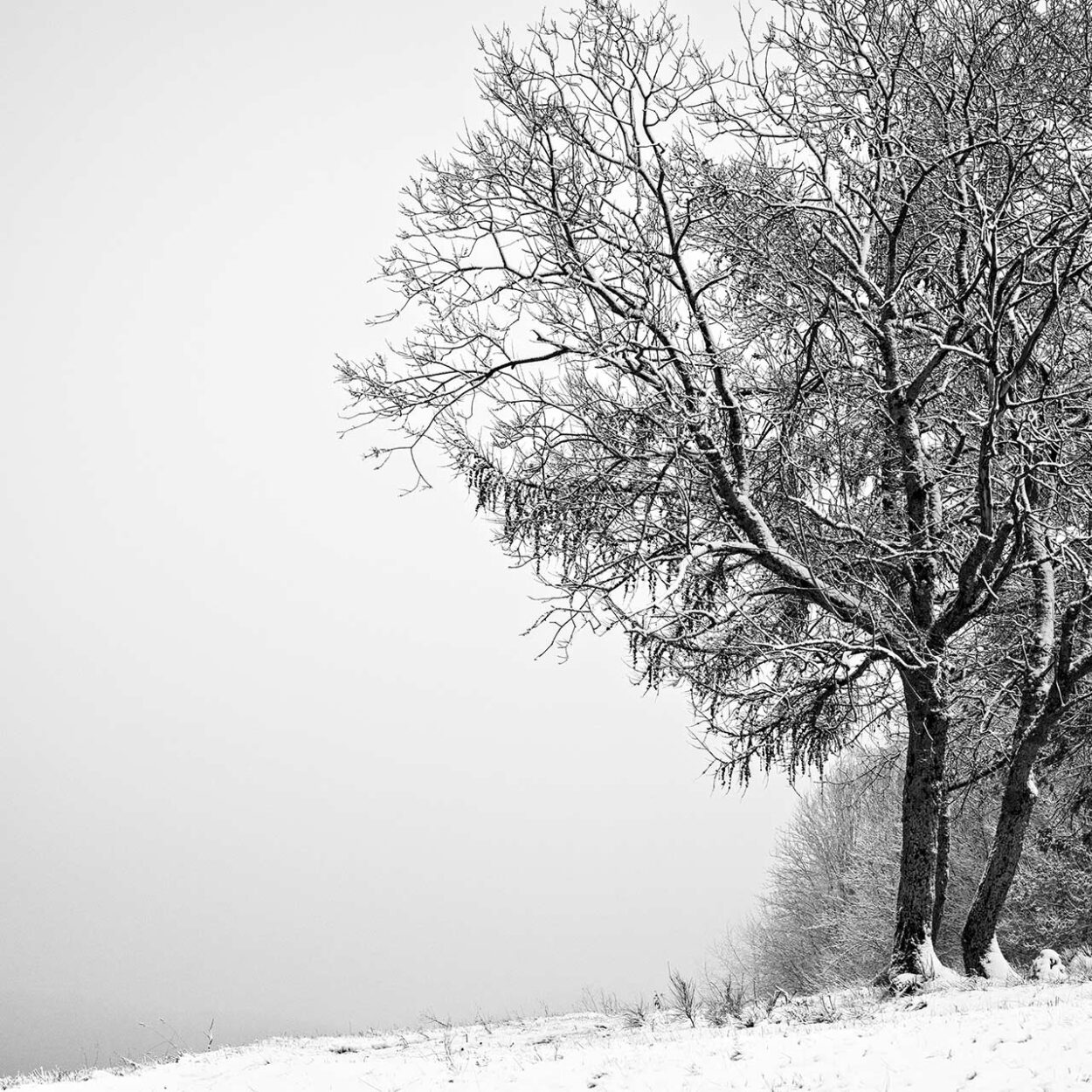 Wintertime, Siegen, Germany, 2022
Ralf Dreier © All rights reserved