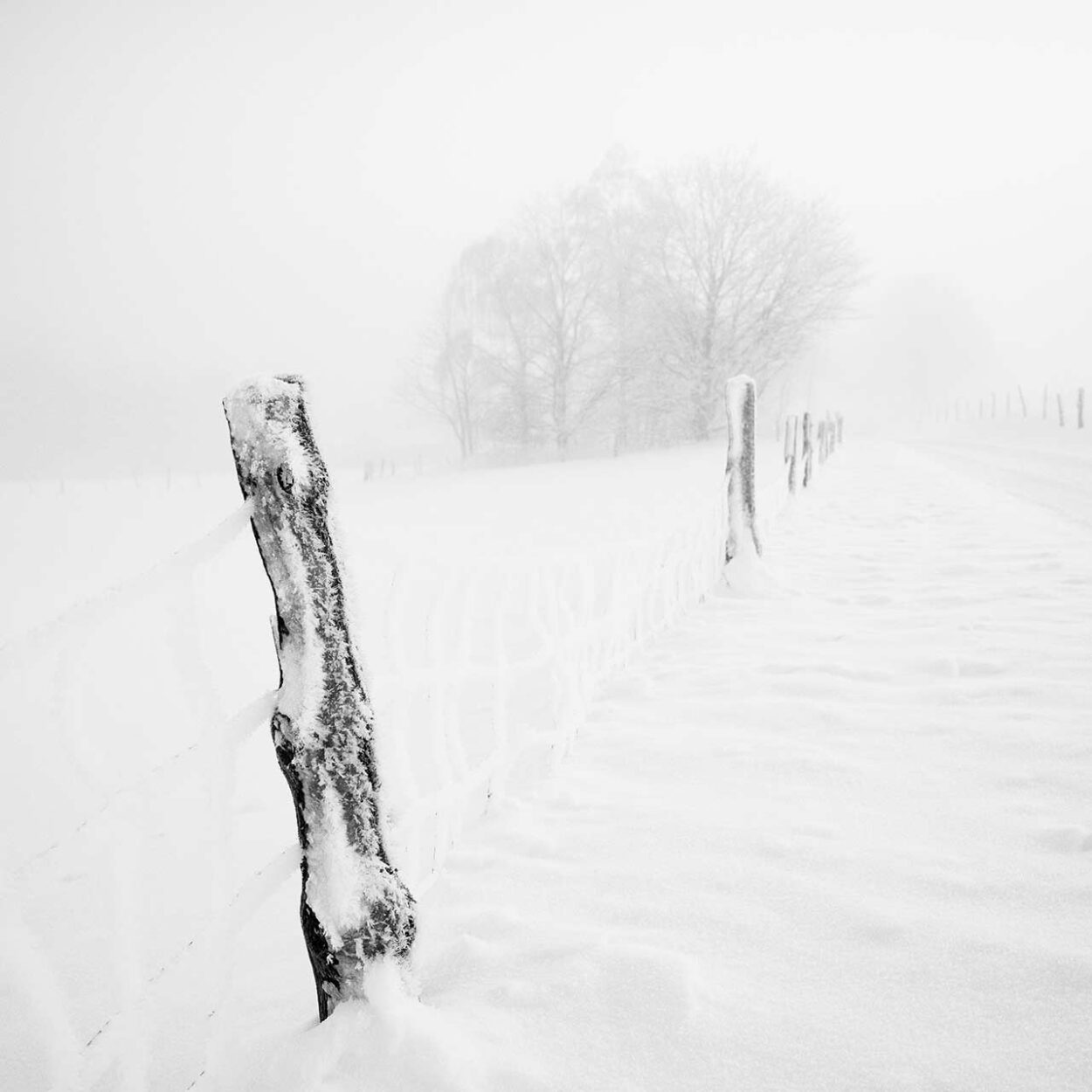Snow Covered Fence, Wenden, Germany, 2024. Ralf Dreier © All rights reserved