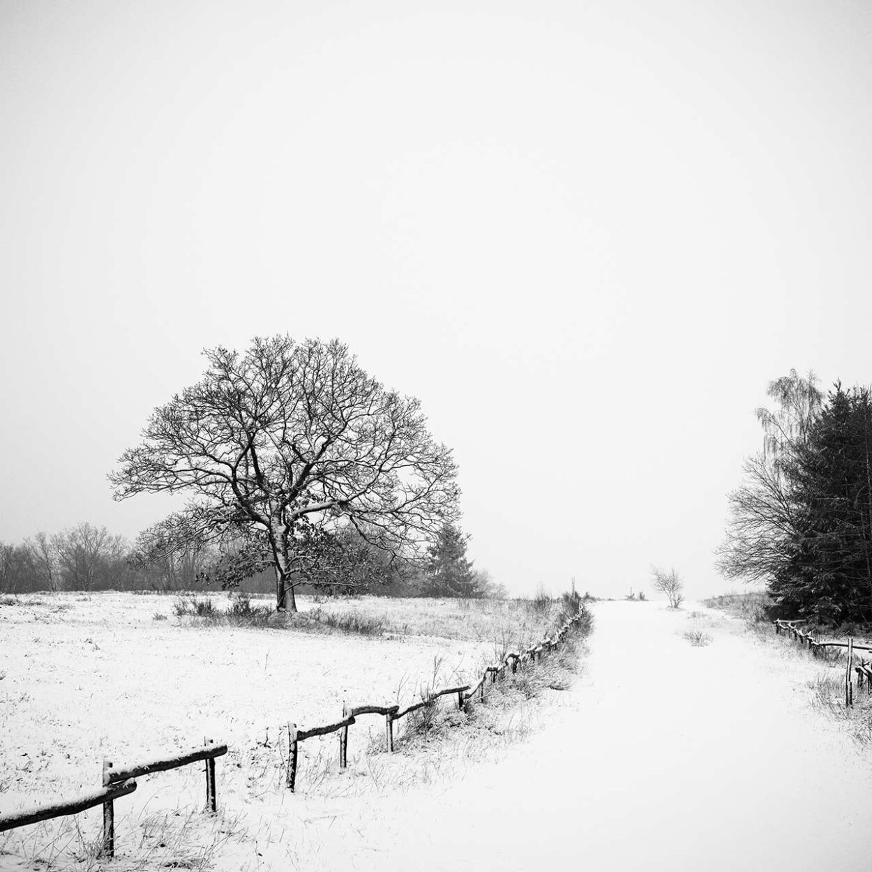 Winter Landscape I, Siegen, Germany, 2024
Ralf Dreier © All rights reserved