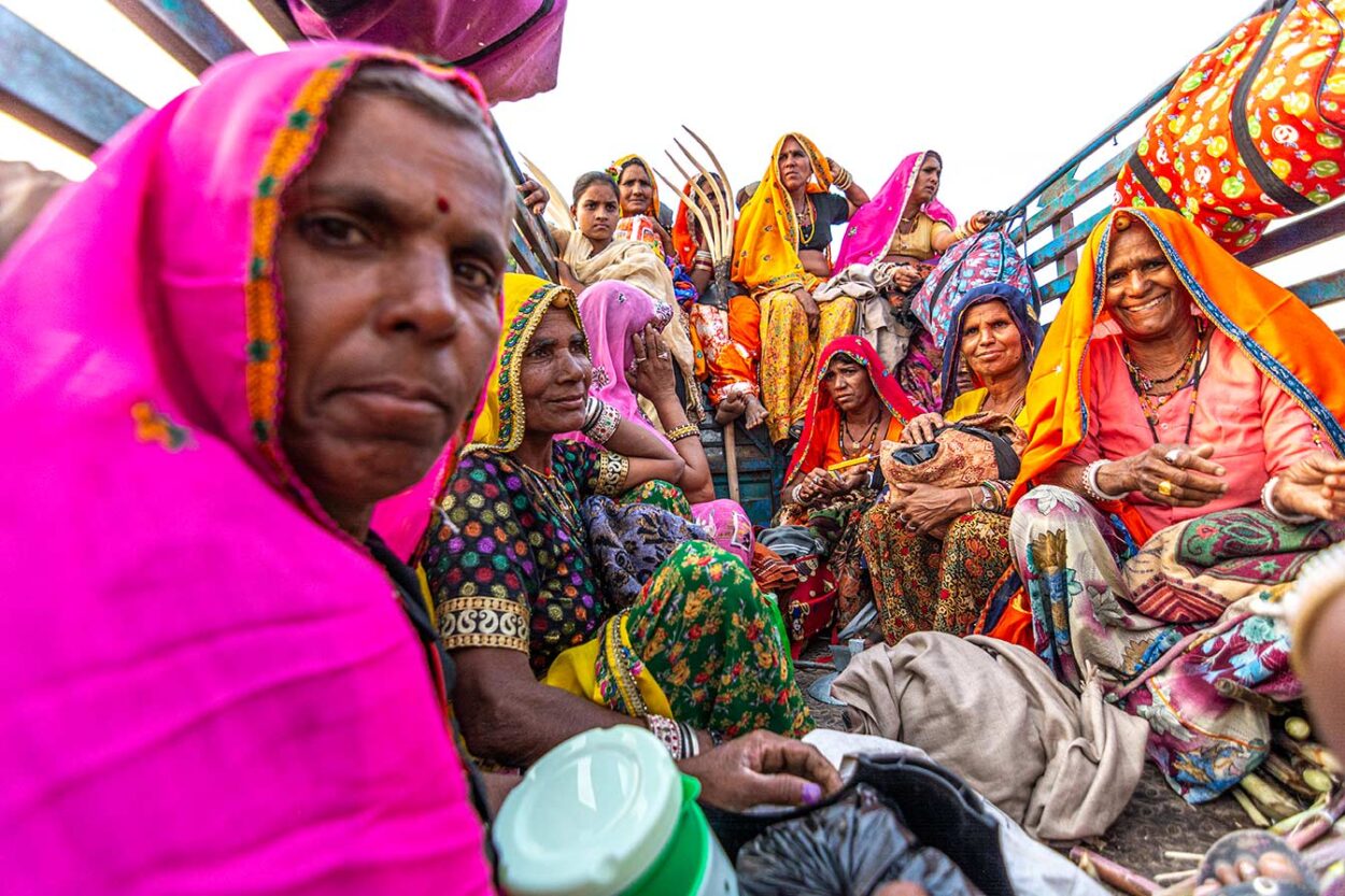 The Vibrant Caravan, India 2019
Sayan Biswas © 
All rights reserved