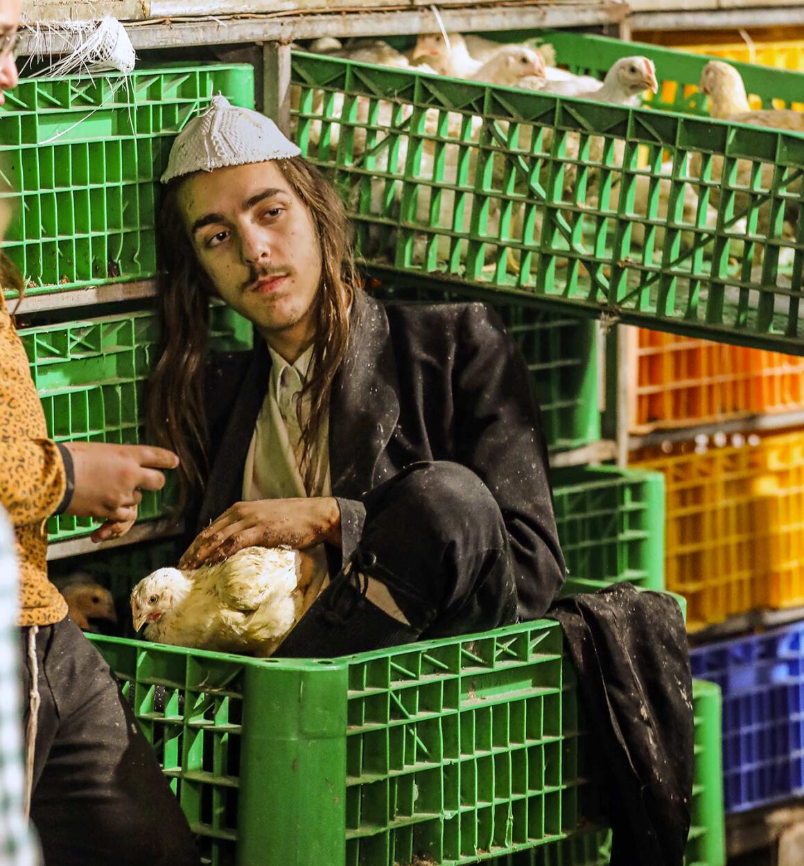 A boy working at the site rests inside a chicken crate, tired from the day's work, while gently cuddling a hen.
Yoram Biberman ©
All rights reserved.