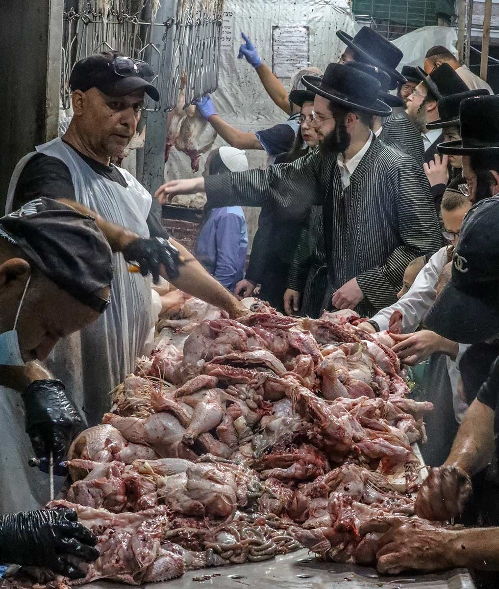 A heap of chickens, surrounded by workers and participants.
Yoram Biberman © All rights reserved.