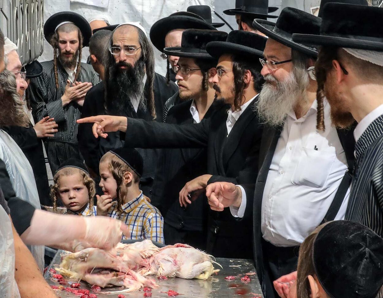 The Meat with a Bothered Boy
Yoram Biberman © All rights reserved.