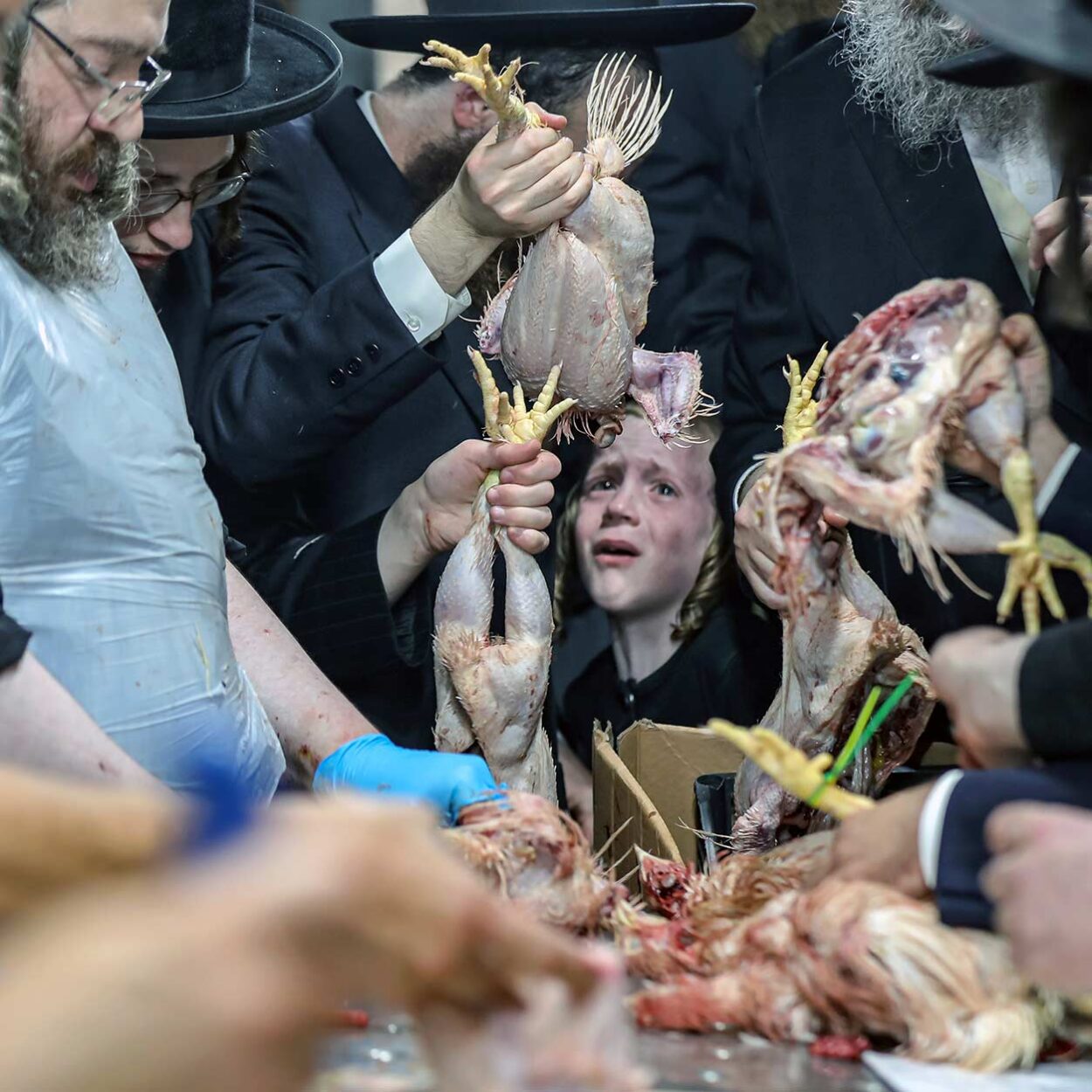 A terrified boy stands amid the noise and chaos of the event.
Yoram Biberman ©
All rights reserved.