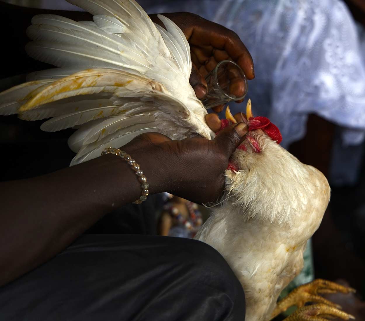 Voodoo: The Living Spirit of Benin
Aga Szydlik © All rights reserved.