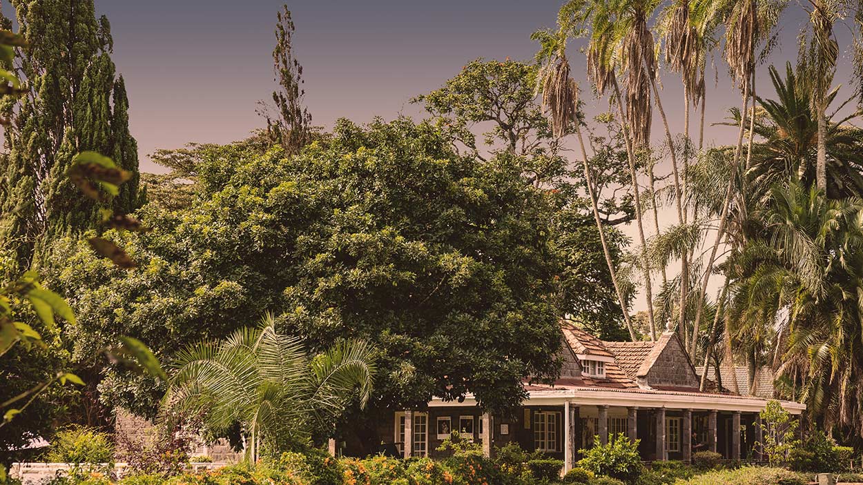 Mbogani House, Kenya, 2024
Archival Print on Hahnemühle Photo Rag Metallic
Edition of 10 + 2 APs in bespoke size
Catherine Wingfield. The Dreams of Lioness Blixen © All rights reserved.