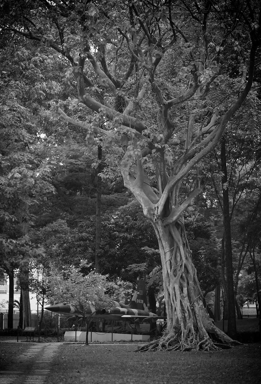 Vietnam
Zero One Six Three Eight (the Grounds of Reunification Hall, Ho Chi Minh City)
Geoffrey Ansel Agrons ©
All rights reserved.